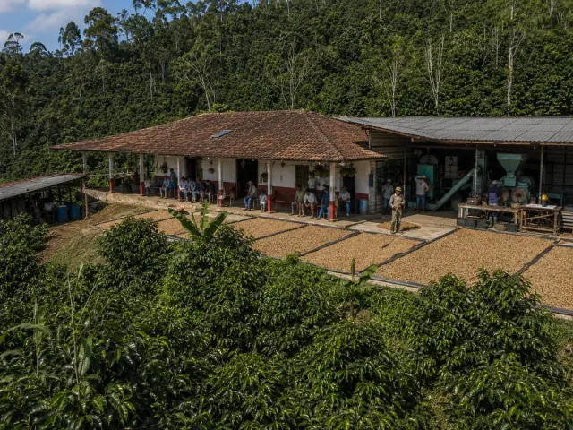 Finca con patios de secado de café al sol
